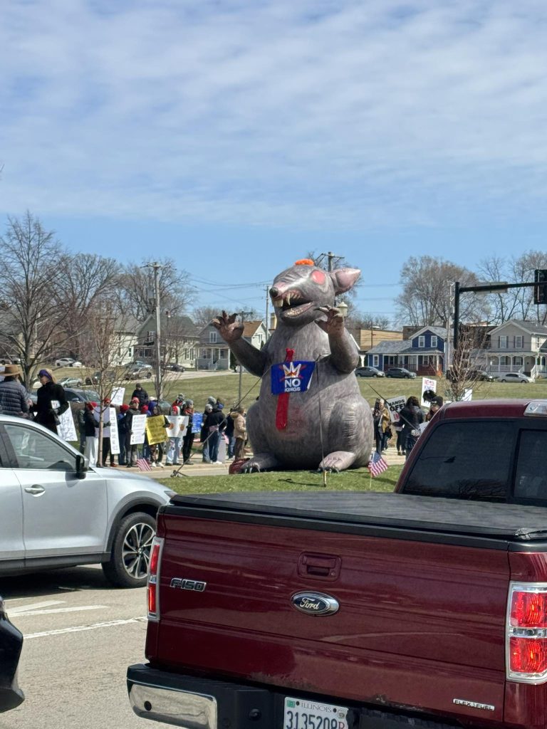 no kings 3 in elgin 14