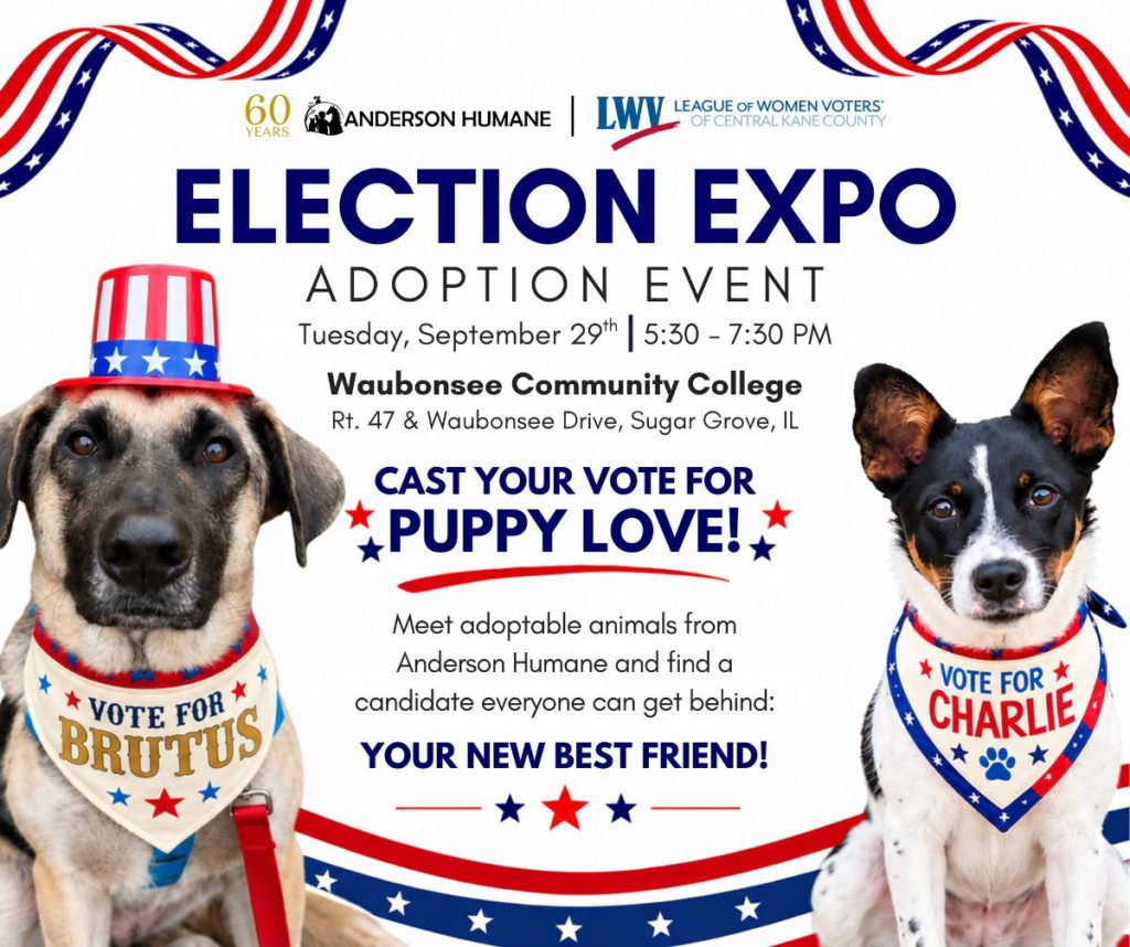 election expo adoption event