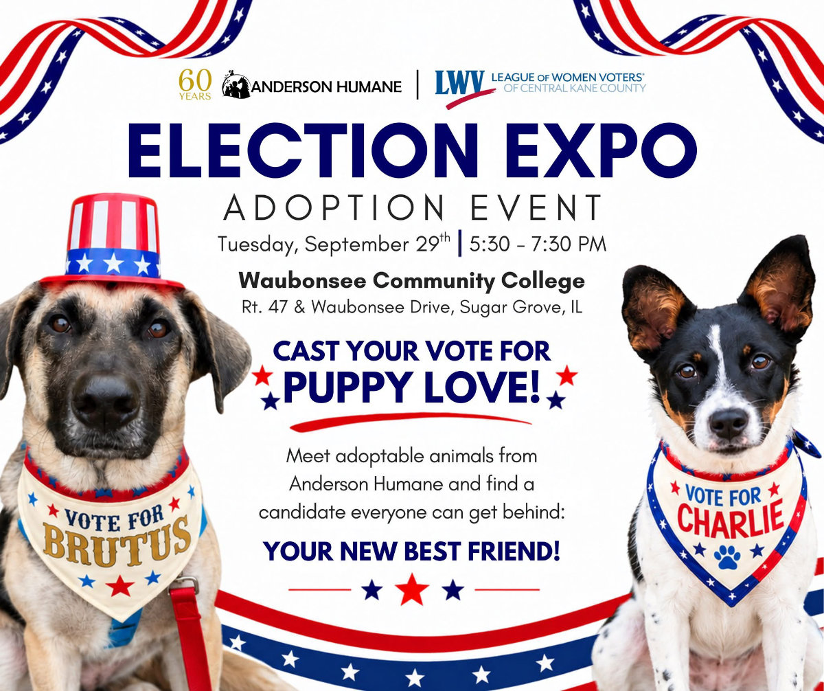 election expo adoption event