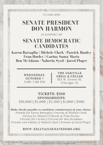 don harmon senate democratic candidates